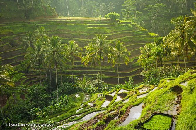 Ubud Surounding Tour - Pickup and private touring: the calm advantage