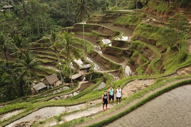 Ubud Top Attractions: Waterfalls, Temples and Rice Terraces - Stop 4: D’Alas Swing for the Big Jungle Valley Photo Moment