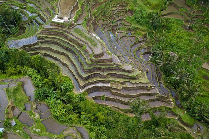 Ubud Top Attractions: Waterfalls, Temples and Rice Terraces - Stop 6: Lunch at D’Alas Warung Restaurant With Valley Views