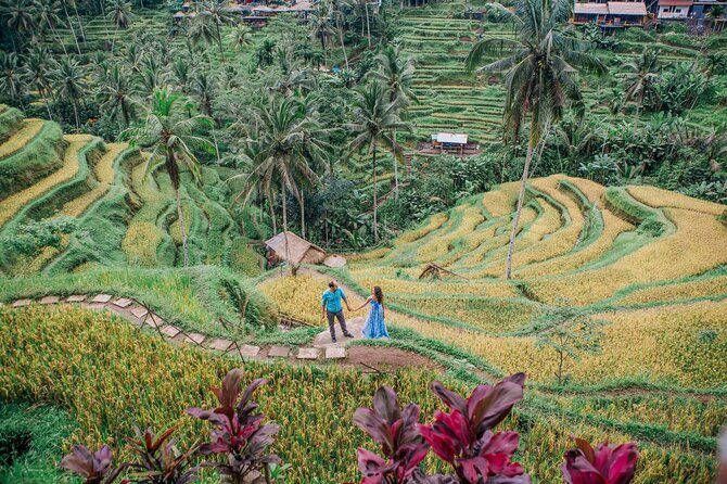 Ubud Tour - Best of Ubud - All Inclusive - Door-to-Door Pickup and a Driver Who Brings the Camera