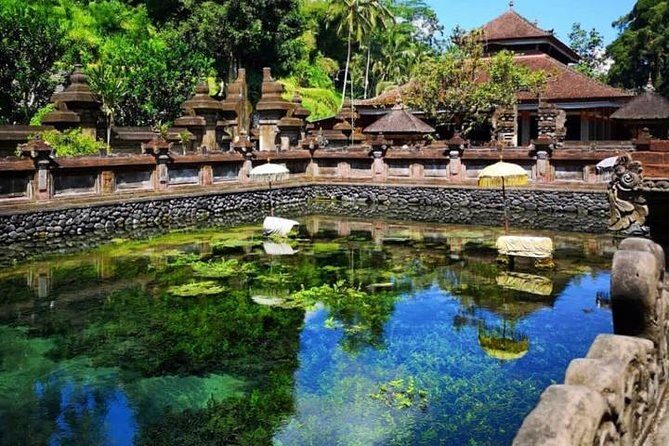 Ubud Tour : Best of Ubud with All inclusive - Tegenungan Waterfall: dramatic views, plus real steps