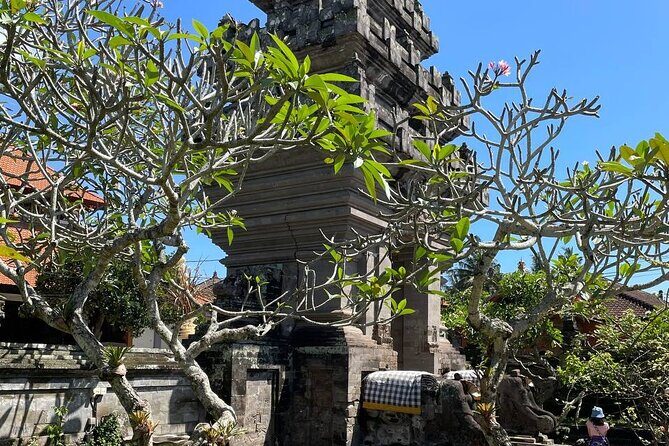 Ubud Tour - Highlight of Ubud - Traditional Tour - What to Bring (So Temples, Waterfalls, and Terraces Don’t Beat You)