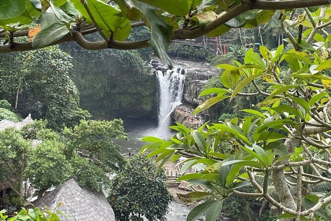 Ubud Tour - Highlight of Ubud - Traditional Tour - Who This Ubud Traditional Tour Is Best For