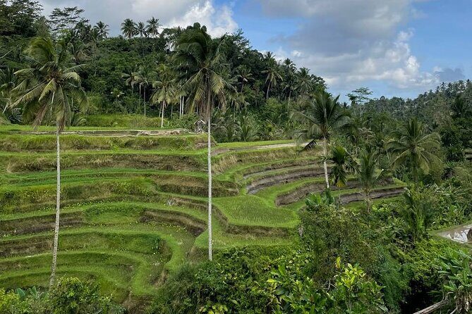 Ubud Tour - Highlight of Ubud - Traditional Tour - How a 10-Hour Loop Feels on the Ground