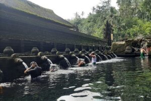 Ubud Tour - Highlights of Ubud - Stop 1: Tegenungan Waterfall and the Easy Walk