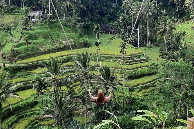 Ubud Tour - Highlights of Ubud - Lunch at D Alas Warung: More Than a Quick Bite