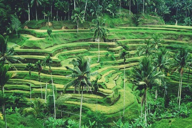 Ubud Trip, The Best of Ubud in a day - All Inclusive - Batuan: traditional compounds, wood carving, and painting