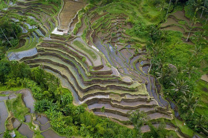 Ubud Volcano Lake and Natural Hot Spring Tour - Tirta Empul Temple: the water ritual you can watch up close