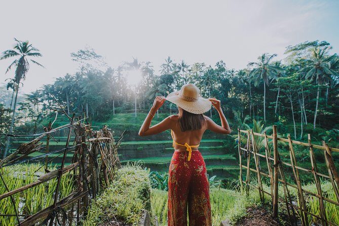 Ubud: Waterfall, Rice Terraces, and Monkey Forest Private Tour - A Private Ubud Day That Actually Makes Sense