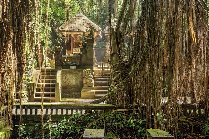 Ubud: Waterfall, Rice Terraces, and Monkey Forest Private Tour - Lunch, Transport, and How the Stops Add Up