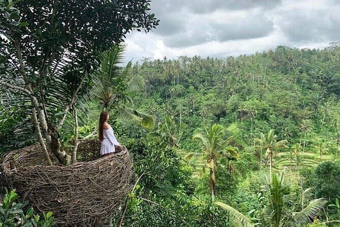 Ubud waterfall, rice terraces, and swing explore - What you pay for: value check on $41 and the one extra fee