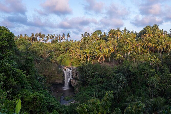 Ubud waterfall, rice terraces, and swing explore - Timing, comfort, and simple tips that make this day easier