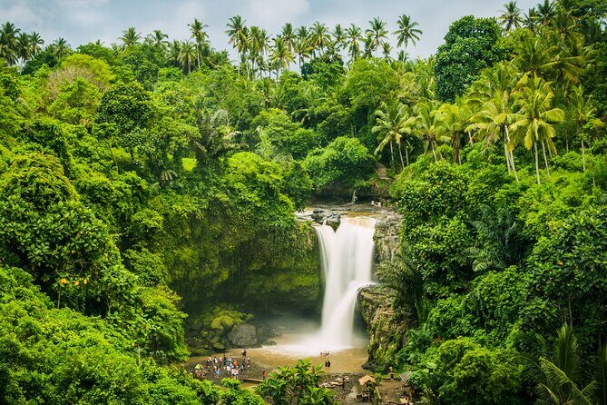 Ubud waterfall, rice terraces, and swing explore - Should you book this Ubud Waterfall, Rice Terraces, and Swing Explore tour?