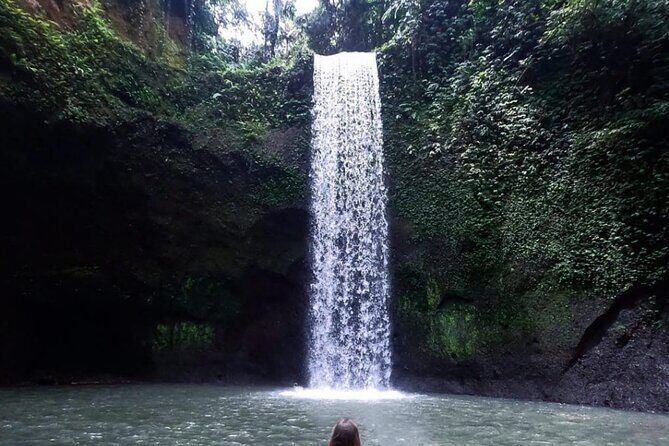 Ubud Waterfalls, Rice Terrace & Jungle Swing - Private Tour - Key Things I’d Watch for on This Ubud Tour