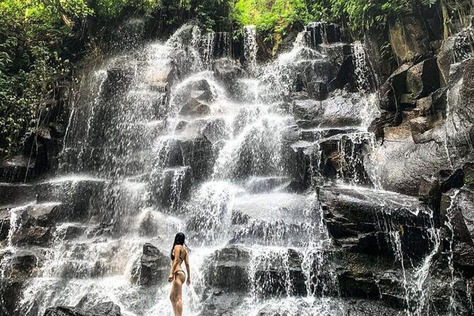 Ubud Waterfalls, Rice Terrace & Jungle Swing - Private Tour - A Waterfall-to-Rice Day That Actually Feels Manageable