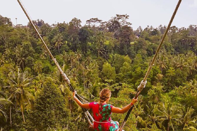 Ubud Waterfalls, Rice Terrace & Jungle Swing - Private Tour - Stop 4: Tegalalang Rice Terrace and the Traditional Irrigation Views