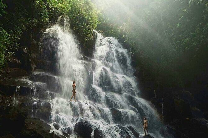 Ubud Waterfalls, Temple and Rice Terrace - Private Tour - A private day designed around real Ubud moods