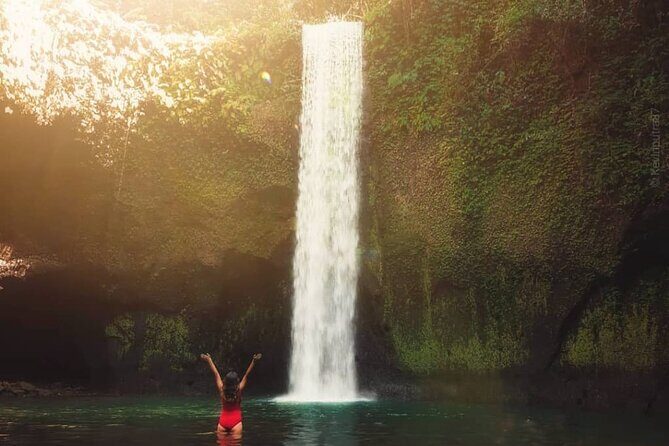 Ubud Waterfalls, Temple and Rice Terrace - Private Tour - Price and what you truly get for $26.40 per person