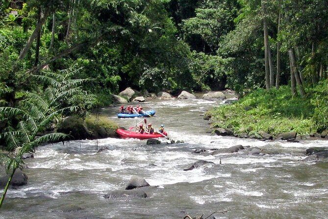 Ubud White Water Rafting with Waterfall and Lunch - On the Ayung River: rapids, waterfalls, and the swim-stop moment