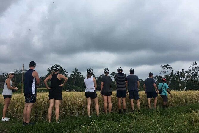 Ubud Wonderful Half Day Downhill Cycling Tour with Lunch - What Else You See: Rice Fields, a Temple, and a Local Home
