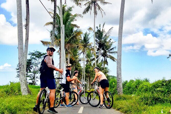Ubud Wonderful Half Day Downhill Cycling Tour with Lunch - Should You Book This Ubud Downhill Cycling Tour?
