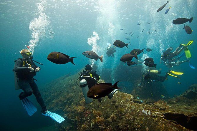 USS Liberty Shipwreck Scuba Diving at Tulamben Bali - The USS Liberty wreck: why this one stays famous