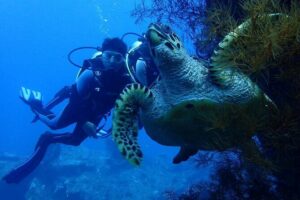 USS Liberty Shipwreck Scuba Diving at Tulamben Bali - Two underwater sessions, with a break built in