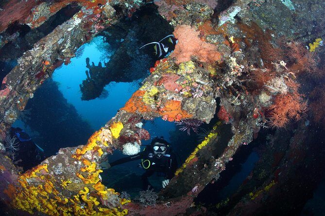 USS Liberty Shipwreck Scuba Diving at Tulamben Bali - Your guide style matters more than you think
