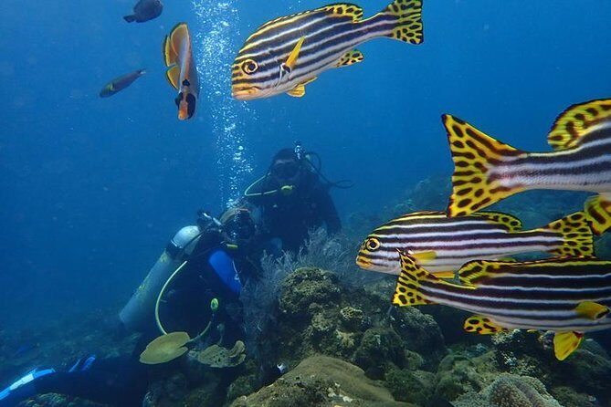 USS Liberty Shipwreck Scuba Diving at Tulamben Bali - Gear, fin sizing, and the small practical stuff