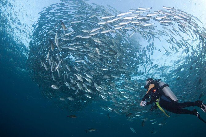 USS Liberty Shipwreck Scuba Diving at Tulamben Bali - Lunch, coffee, tea, and the post-water reset