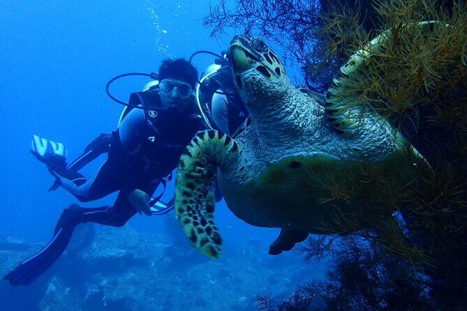 USS Liberty Shipwreck Scuba Diving at Tulamben Bali - Two underwater sessions, with a break built in