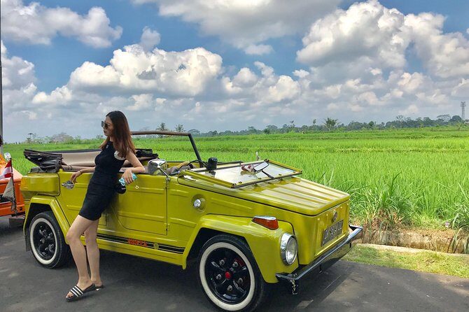 VW Safari,Bayan Ancient Tree,Jatiluwih,Wanagiri,Banyumala Twin Waterfalls - Key highlights at a glance