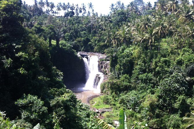 Wonderful Of Ubud Tours - Stop 2: Tegalalang Rice Terrace for Classic Bali Views