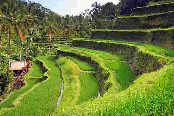 Wonderful Of Ubud Tours - Stop 3: Goa Gajah (Elephant Cave) and the Temple-Story Feel