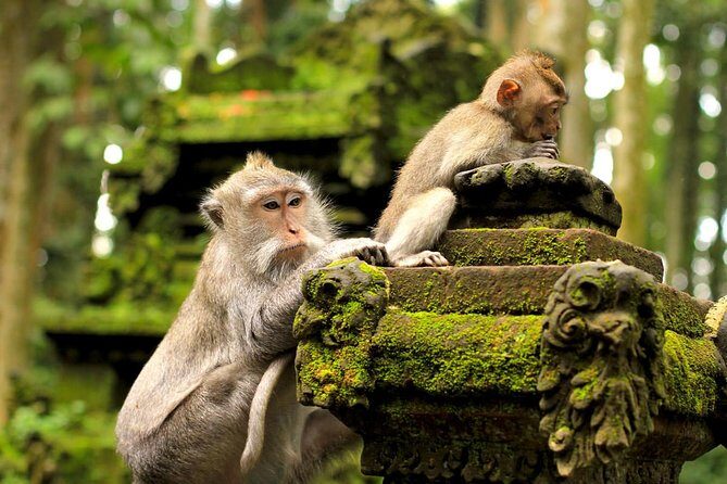 Wonderful Of Ubud Tours - Stop 8: Tegenungan Waterfall with a Real Two-Hour Window